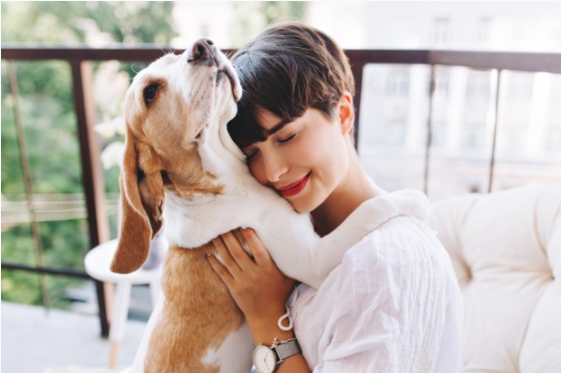 Imagem Pet shop